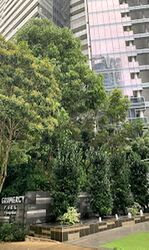 Gramercy Park (D10), Condominium #445816891
